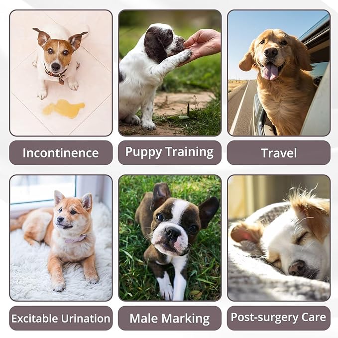Paw Legend Washable Dogs Diapers Male Dog Belly Bands for Male Dogs Diapers Reusable Puppy & Doggie Diapers Male