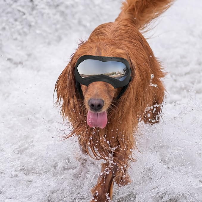 Dog Goggles, UV Protection, Windproof, Dustproof, Anti-Fog Dog Sunglasses for Large & Medium Dogs, Lightweight TPE Frame with Adjustable Strap, Stylish Outdoor Protection (Black)