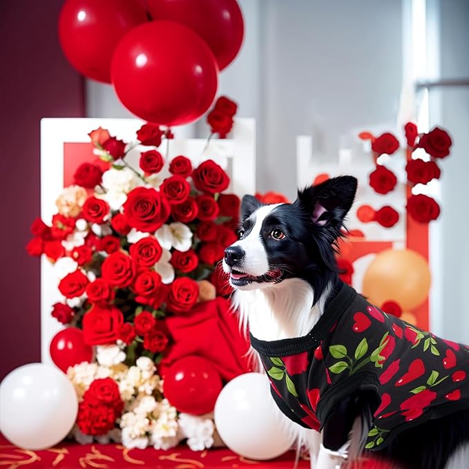 Valentines Dog Shirts for Small Doggie Puppy Girl Boy Male Female Sleeveless Tank Top Tee Vest T Shirts Black Red Outfit Pack of 2