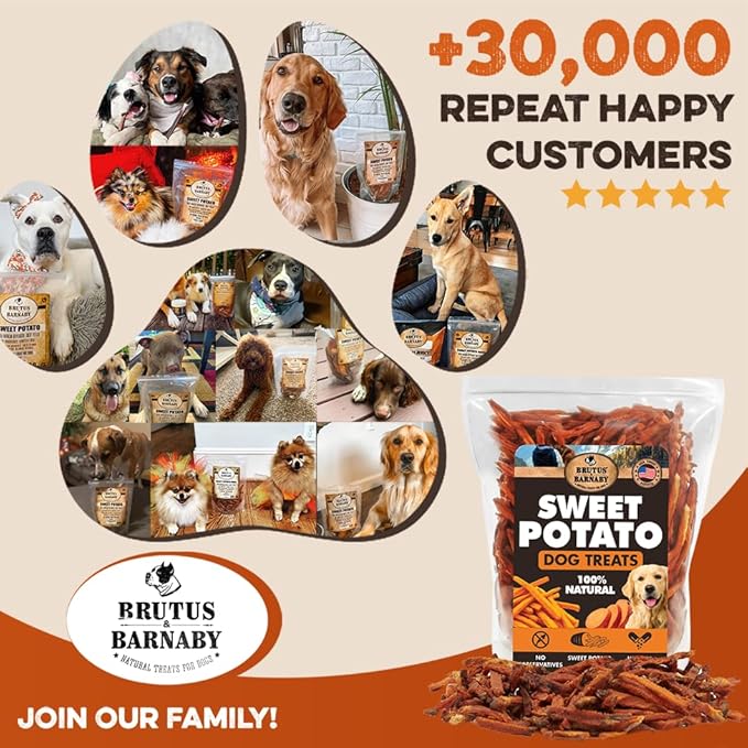 BRUTUS & BARNABY Sweet Potato Dog Treats- No Additive Dehydrated Sweet Potato Fries, Grain Free, Gluten Free and No Preservatives Added (2lb)