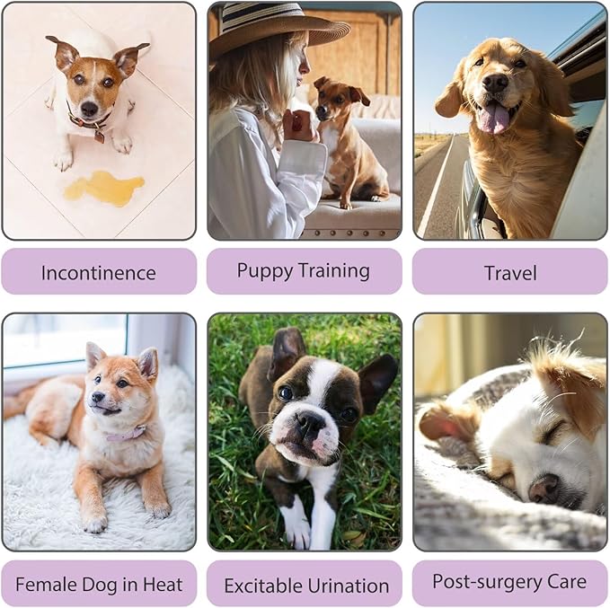 Paw Legend Washable Reusable Female Dog Period Diapers for Heat Doggie Puppy Diapers for Female Dogs (3 Pack,X-Small)