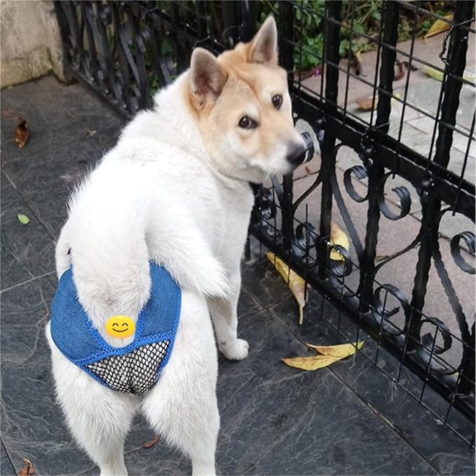 Dog Panties for Dogs in Heat, Anti Harassment, Breathable, and Excretable, Reusable Female Dog Pants to Prevent Cross-Tailing. Protect Female Dogs from Male Dogs, Dog Contraceptive Pants (xs)