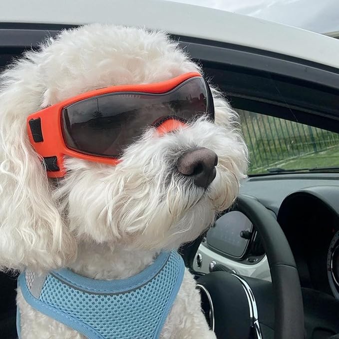 Enjoying Dog Sunglasses Medium Breed, Dog Goggles UV Protection, Cycling Eye Protection for Medium-Small Dogs, Outdoors Breathable Windproof Dustproof Anti-Fog, Adjustable Straps, Cool Orange