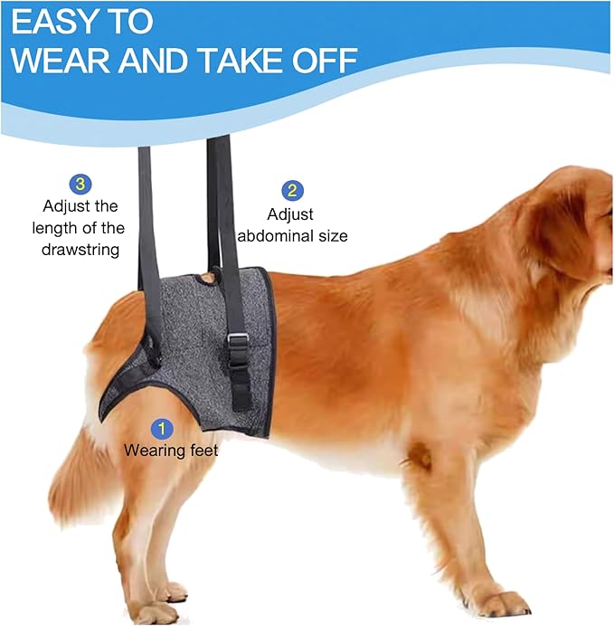 Dog Lift Harness for Back Legs–Sturdy Dog Support Sling–Hip Sling Carrier for Large Medium Canine, Stair Helper for Aid Old Ligament Rehabilitation Pet, Grey,M