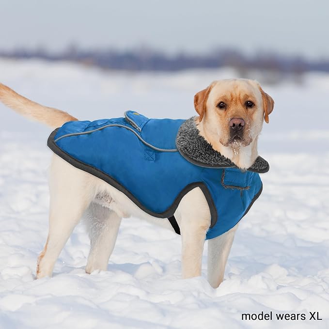 Dog Winter Coat - Warm Dog Clothes for Rain Snow Wind Cold Weather - Reflective Blue Adjustable Windproof Pet Vest Jacket with Leash Hole for Small Medium Large Dogs Indoor Outdoor