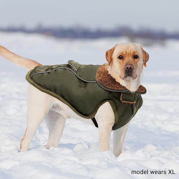Dog Winter Coat - Warm Dog Clothes for Rain Snow Wind Cold Weather - Reflective Green Adjustable Windproof Pet Vest Jacket with Leash Hole for Small Medium Large Dogs Indoor Outdoor