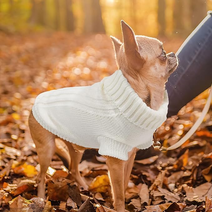 Dog Sweater for Small Dogs Fall Winter Puppy Knitted Sweaters Warm Puppy Clothes Chihuahua Sweater Thick Pet Knitwear Tiny Dog Clothes for Teacup Yorkie (White, Medium)