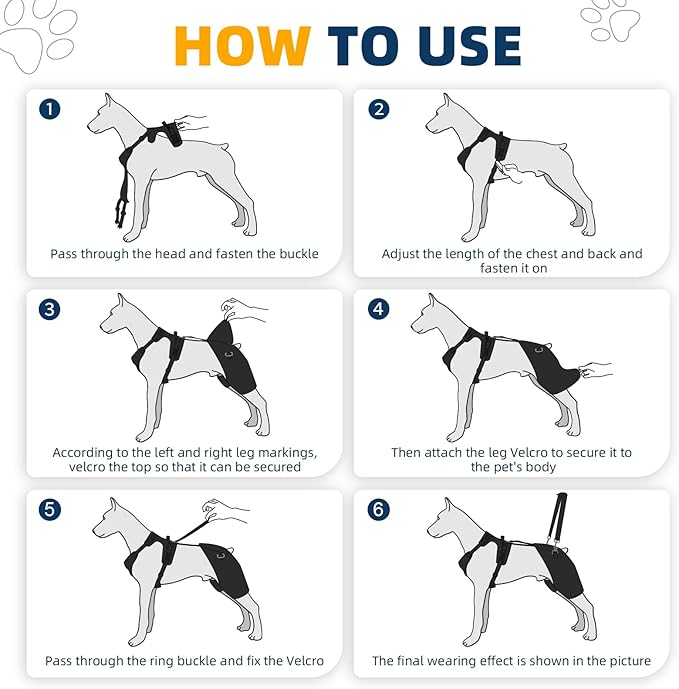 CHAMIN Dog Hip Brace with Back Handheld Design, Support for Hip Dysplasia, Arthritis, Back Leg limping, Reduce Hip Pain & Accelerated Recovery After Surgery etc(Extra Extra Large)