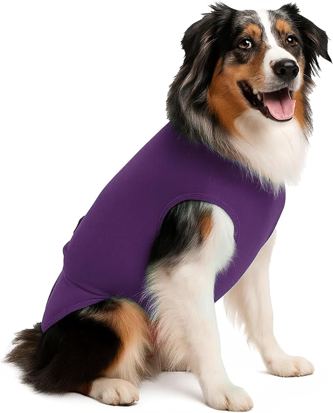 SurgiSnuggly Disposable Dog Diapers Female Or Male Dogs, Great Cover for Female Dog Diapers for Heat Cycle and Better Than Dog Suspenders- Wrap Around Legs for Superior Fit ML PL