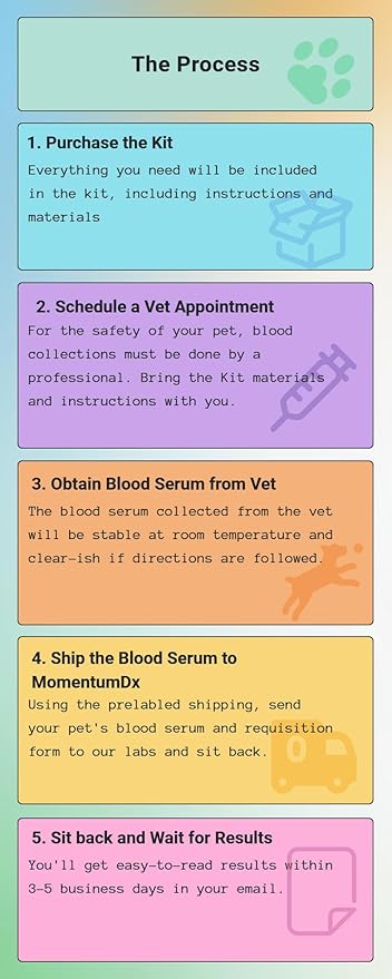 Cancer Screening Test for Dogs, Cats, Ferrets, and Rabbits, 21 Cancers Tested, Blood Sample