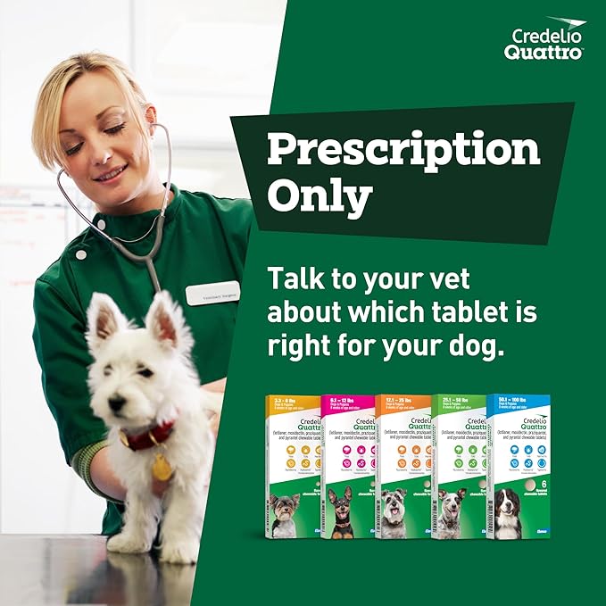 Credelio Quattro Dog Flea & Tick Treatment + Heartworm & Parasite Protection, 3.3-6 lbs (1 Chewable Tablet)