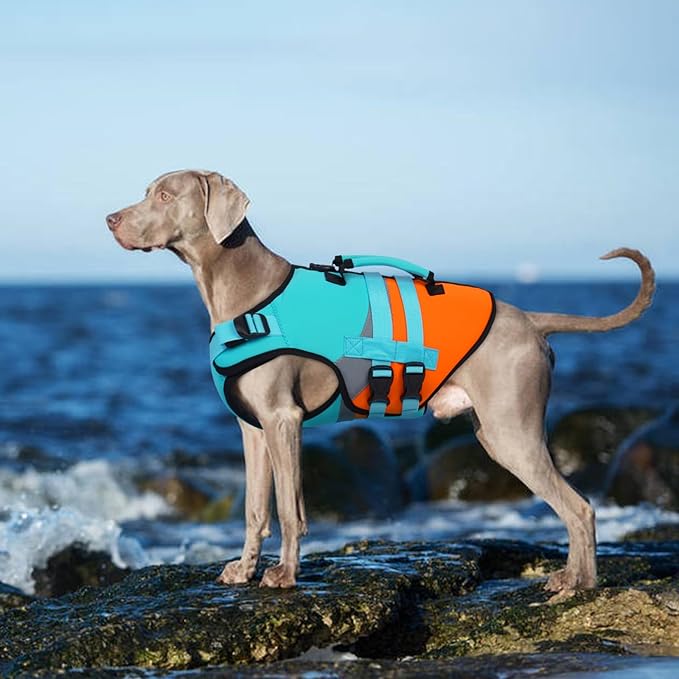 Kuoser Dog Life Jacket with Reflective Strips, High Visibility Dogs Swim Vest with Rescue Handle, Adjustable Dog Life Vest for Swimming, Boating, Pool & Beach, Doggy Lifejacket Small Medium Large Dogs