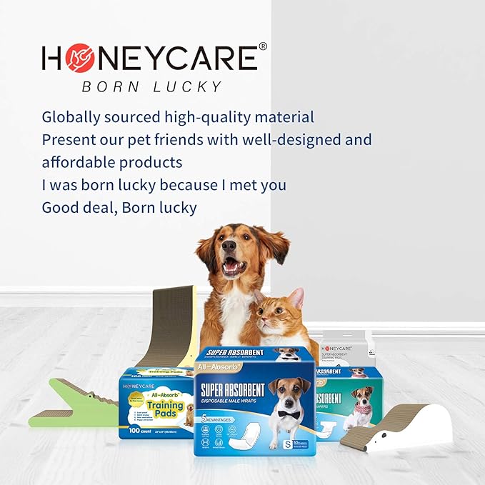 HONEY CARE All-Absorb Disposable Female Dog Diapers Extra Small Size, Improved, 50 Count, Super Absorbent, Breathable, Wetness Indicator (50 Count Total) (Pack of 6)