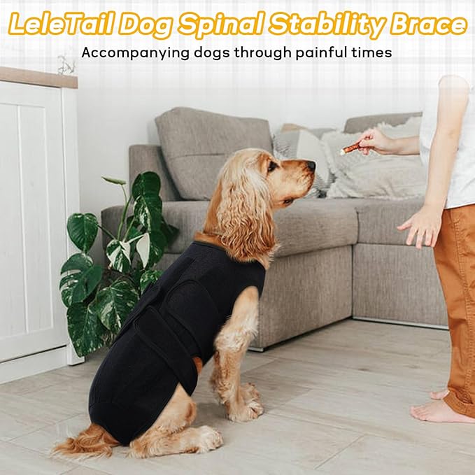 Dog Spine Support Brace for Large Breeds - Heavy Duty Back Support Brace with 5 Reinforced Rods, Adjustable for Joint Support or Post-Surgery Needs, Black XL