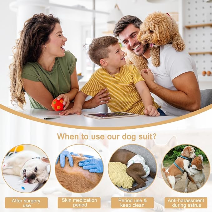 Etdane Dog Diapers Sanitary Panties Physiological Period Shirts Surgical Recovery Suits for Male and Female Dogs, Blue/Small