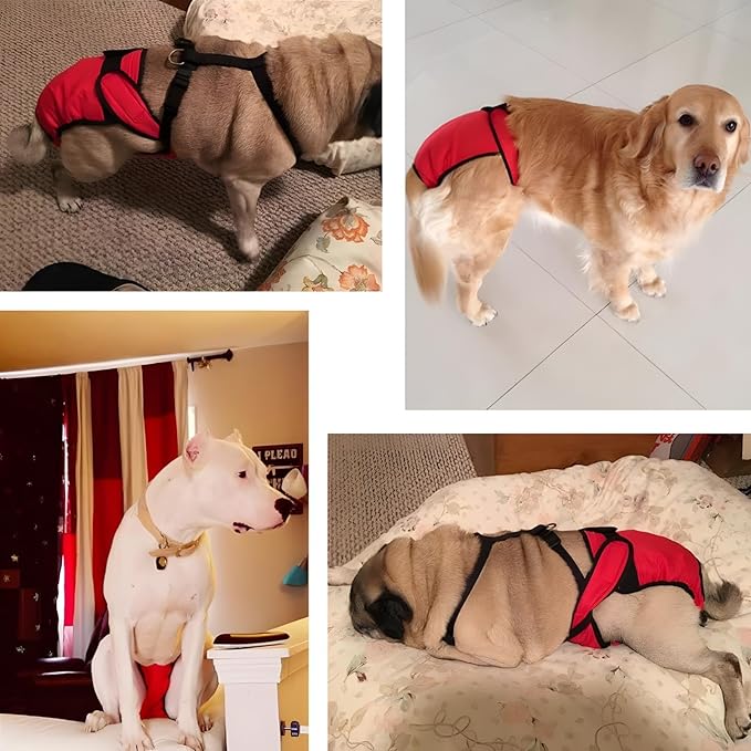 NACOCO 2 Pack Female Dog Diapers for Small Medium and Large Dogs, Adjustable and Leakproof Doggie Sanitary Panties, The Harassment of Pants and Safety Pants, Black&Red (XL)