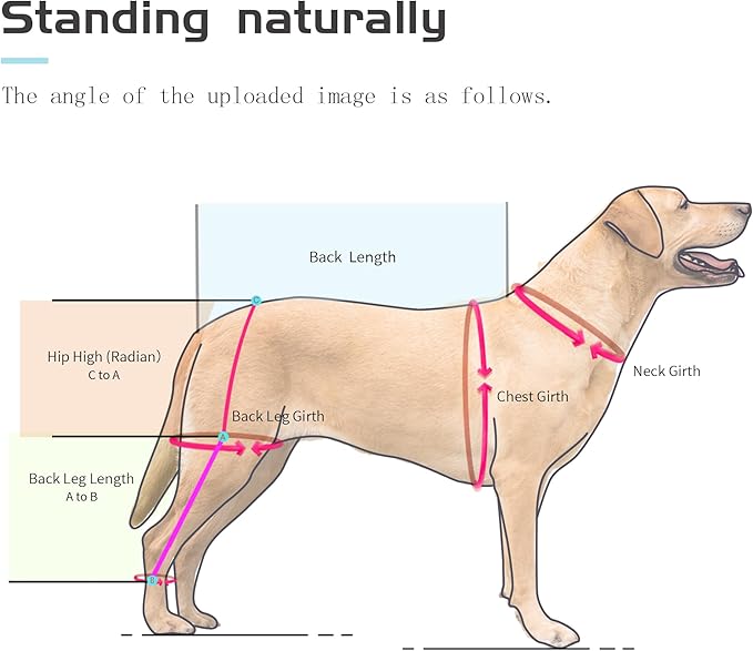 Customized Dog Knee Brace for Hind Legs - Provides Joint Protection and Warmth, Upgraded Adjustable Leg and Hip, Dogs Rear Leg Wrap Harness Set for Leg Wound Care and Lick Prevention
