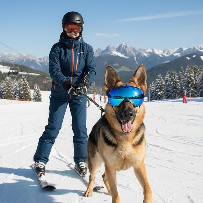 Dog Goggles UV400 Protection,Ski Goggles for Large Breeds with Adjustable Strap, Dog Sunglasses with Comfort-Focused Frameless Design - UV-Resistant/Windproof/Snowproof for Running,Cycling (Blue)