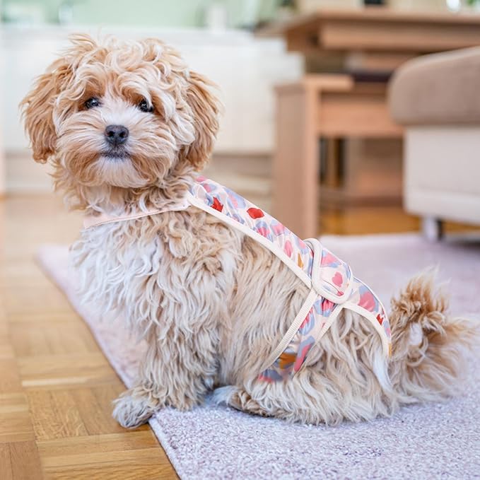 ASENKU 2 Pack Dog Diapers Female Dogs, Dog Suspenders Reusable Doggie Diapers for Female Dogs Small,Washable Dog Period Diapers Dog Panties for Small Girl Dogs in Period Heat
