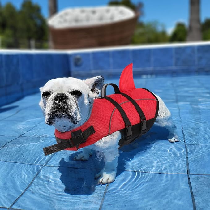 Queenmore Small Dog Life Jacket,Shark Dog Life Vest for Swimming,Puppy Light Life Preserver for Boating Kayaking Canoeing,Pet Reflective Lifesaver with High Buoyancy,Rescue Handle,Leash Hook (Red,M)