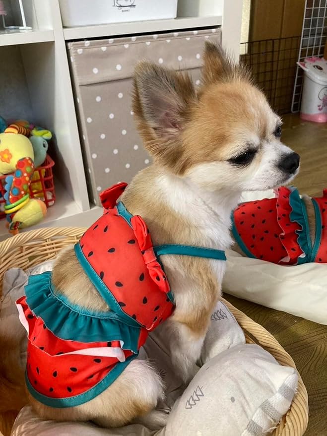 Funny Dog Swimwear Bikini Summer Dog Clothes Beach Swimsuit Puppy Bathing Suit Puppy Vest Cooling Pet Shirt for Small Dogs, Cat Apparel (Watermelon, Small)