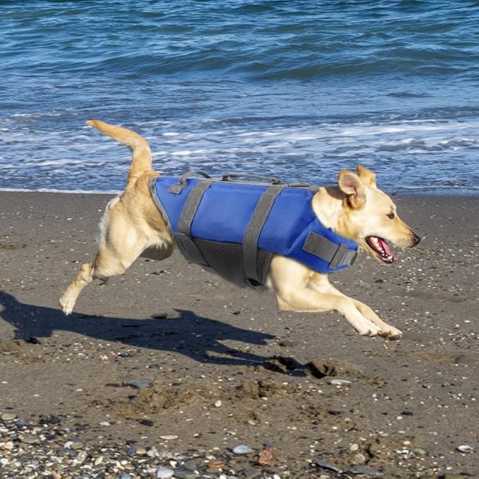 EMUST Dog Life Vests, Adjustable Pet Life Jacket with Rescue Handle, Dog Flotation Vest for Small/Medium/Large Dogs, XS, Royal Blue
