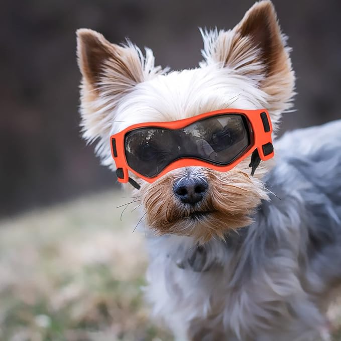 Enjoying Dog Sunglasses Small Breed, Dog Goggles UV Protection, Cycling Eye Protection for Small Dogs, Outdoors Breathable Windproof Dustproof Anti-Fog, Adjustable Straps, Cool Orange