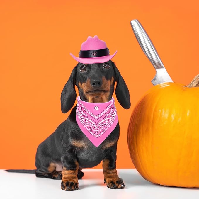 Fumwase Pet Cowboy Costume Halloween Costumes for Dogs Cat Puppy Hats with Bandana Scarf Cowboy Costume Accessories Dog Cat for Party Festival and Daily Wearing (Pink hat + Pink, Small)