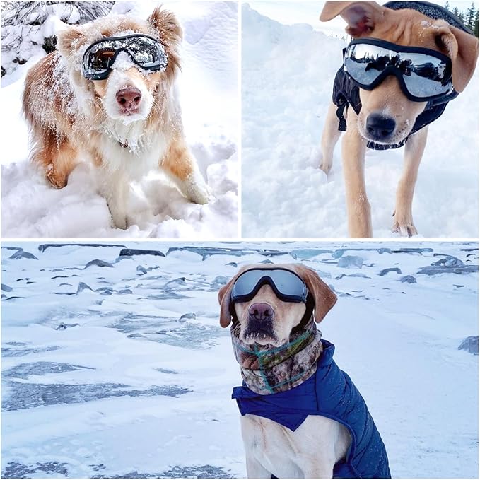 NAMSAN 2 Pair of Dog Goggles, Clear/Black, UV Protection Dog Sunglasses for Medium to Large Dogs, Windproof Driving Dog Eye Protection, Dog Glasses with Elastic Straps, Adjustable