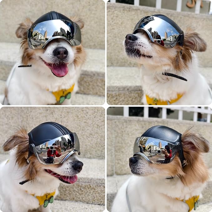 PETLESO Small Dog Helmet, Pet Motorcycle Helmet with Ear Holes, Adjustable Pet Safety Hat with Flip-Up Silver Visor, Small-Medium Puppy Heads Protection, Non-Spiked