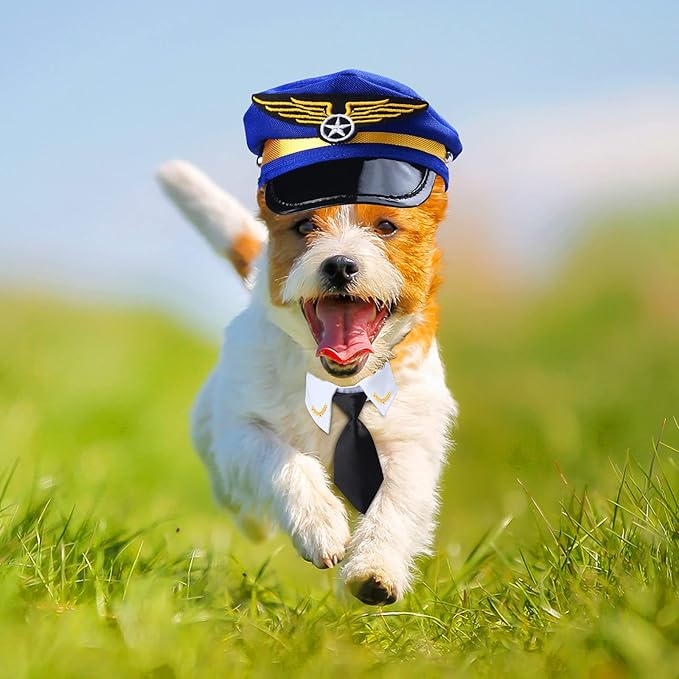 Yewong 3-Piece Pet Captain Costume Accessory Set - Dog & Cat Pilot Hat, Formal Necktie & Collar - Fancy Dress & Halloween Party (Set-B)