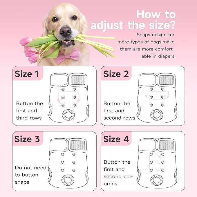 Paw Legend Washable Reusable Female Dog Period Diapers for Heat Doggie Puppy Diapers for Female Dogs (3 Pack, Medium)