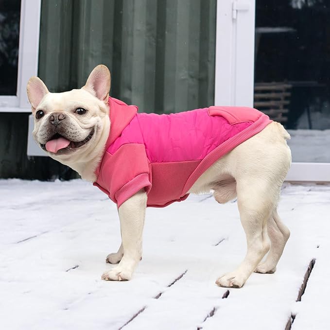 KOOLTAIL Warm Dog Winter Coat for Small Dogs, Waterproof Puppy Jacket with Leash Hole, Cold Weather Pet Vest for Winter, Soft Pet Hoodie Sweater Sweatshirt Clothes for Puppy Cats Girls Boys Rose Red S