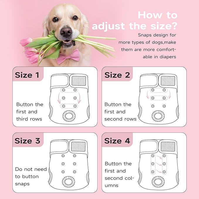 Paw Legend Washable Reusable Female Dog Period Diapers for Heat Doggie Puppy Diapers for Female Dogs (3 Pack, Small)