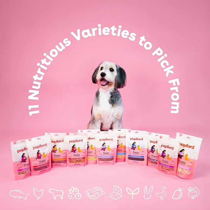 Pupford Freeze Dried Training Treats for Dogs & Puppies, 950+ Two Ingredient Bites (Salmon, 8 oz)