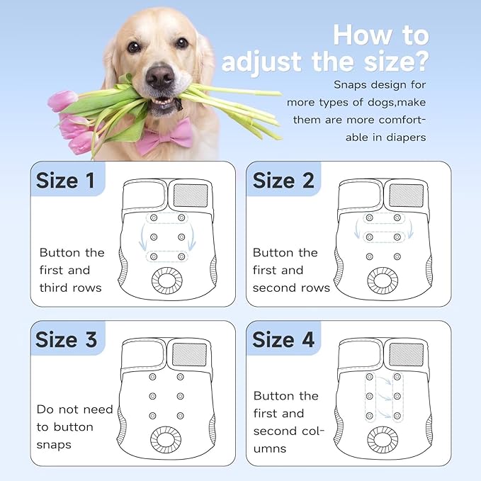 Paw Legend Washable Reusable Female Dog Period Diapers for Heat Doggie Puppy Diapers for Female Dogs (3 Pack,X-Small)