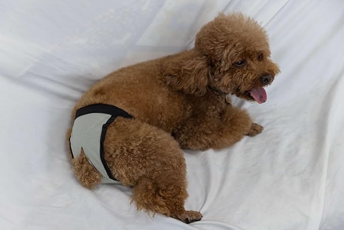 Dog Heat Diapers Lightweight Female Heat Cycle Reusable Diapers Adjustable Pads for Dogs in Heat Grey L