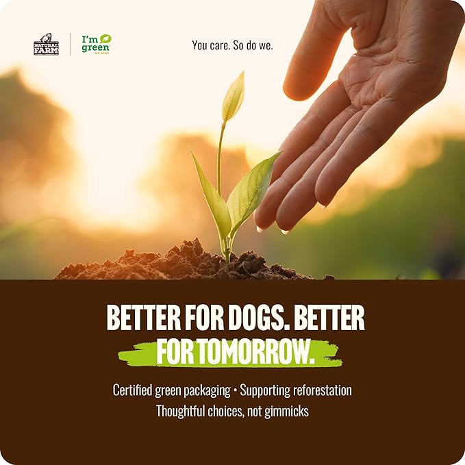 Natural Farm Odor Free Bully Sticks Ring Shaped (3-4 Inch, 10 Pack) - 100% Beef Chews for More Engagement & Fun, Grass-Fed, Non-GMO, Fully Digestible - Best for Small & Medium Chewers