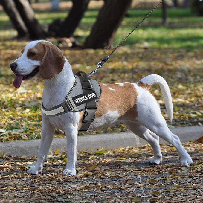 JSXD Dog Harness,No-Pull Service Dog Harness with Handle Adjustable Outdoor Pet Dog Vest 5M Reflective Nylon Material Vest for Breeds,Easy Control for Small Medium Large Dogs