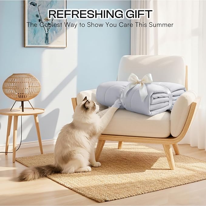 Luciphia Premium Cooling Dog Blanket Washable Q-MAX>0.5 Small Medium Large Pet Mat Puppy Cat Self-Cooling Soft Breathable Calming Throw for Sofa Crate Bed (Light Grey,25x35 inches)
