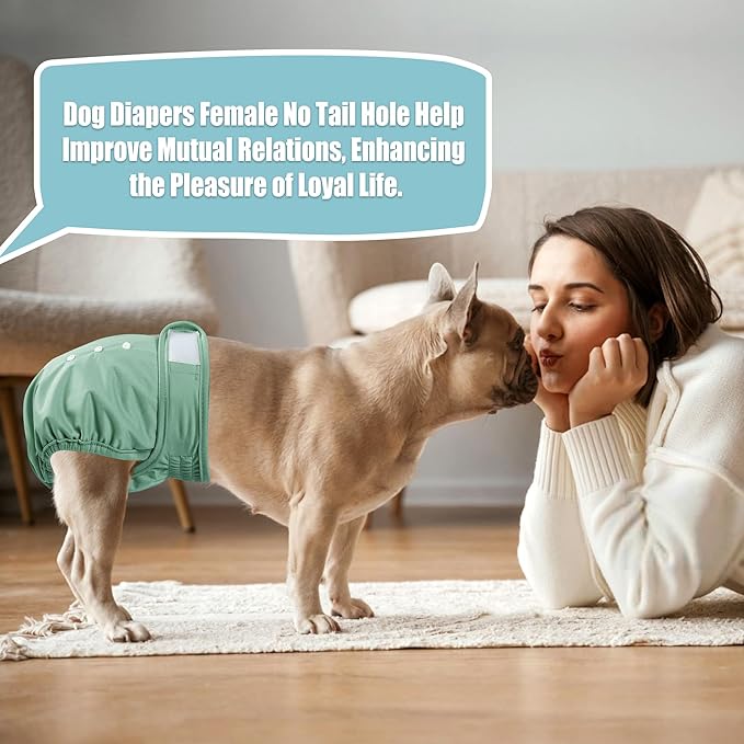 wegreeco Frenchie Dog Diapers Female No Tail Hole, Washable Pet French Puppy Bulldog Diapers Female for Period Heat, Reusable Doggy Doggie Dog Diapers (Medium)