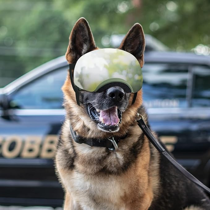 Enjoying Dog Goggles Large Breed with Replaceable Lenses, Silver/Black, Interchangeable Sunglasses for Dogs Medium Large Breed, Summer UV Dog Eye Protection, Winter Pet Snow Goggles, Green