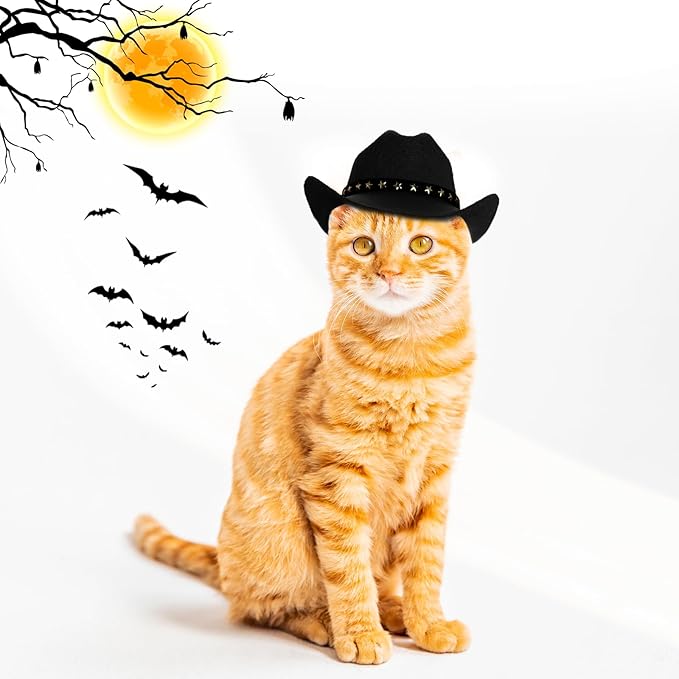 choyaxo Pet Cowboy Costume Cosplay Cap Halloween Costumes for Dogs Cat Pet Party Decoration Mini Cowboy Hat (Black, Large)