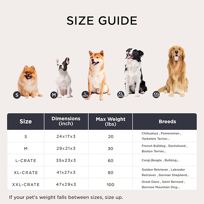 Bedsure Washable Dog Bed Medium Size Dog, Comfort Fluffy Plush Pillow Bed Crate Pad, Non-Slip and Machine Washable Kennel Pet Sleeping Mat, 29"x21", Gray