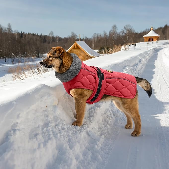 Dog Winter Coat, Adjustable Quilted Dog Snow Jacket with Fleece Lining, Water Resistant Pet Apparel for Cold Weather, Warm Large Doggie Coat with Leash Hole and Reflective Strip, NewRed L