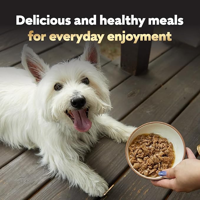 Cesar Filets in Gravy Adult Wet Dog Food Variety Pack, Filet Mignon, New York Strip and Prime Rib Flavors, 3.5 oz. Easy Peel Trays, Variety Pack, 24 Count