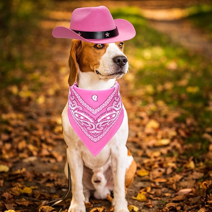 Fumwase Pet Cowboy Costume Halloween Costumes for Dogs Cat Puppy Hats with Bandana Scarf Cowboy Costume Accessories Dog Cat for Party Festival and Daily Wearing (Pink hat + Pink, Large)
