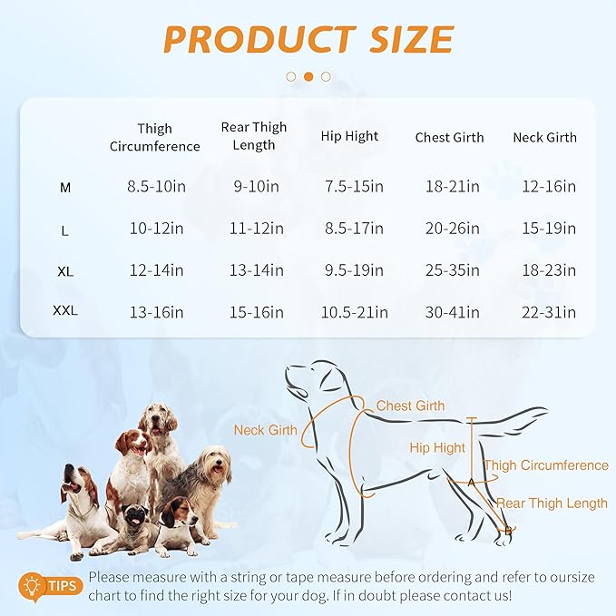 Dog Knee Brace for Pets with Cruciate Ligament Injuries - Keeps Joints Warm and Stable, Upgraded Adjustable Leg and Hip, Dogs Rear Leg Wrap Harness Set for Leg Wound Care and Lick Prevention, M