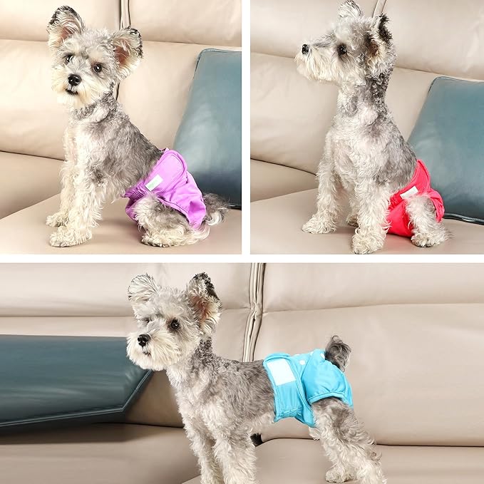 Wegreeco Washable Reusable Premium Dog Diapers, Extra Large, Bright Color, for Female Dog, Pack of 3,Small Dog Puppy & Doggy Diapers Female,Period Panties in Heat