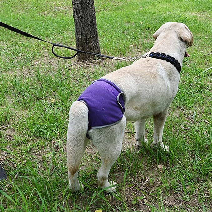 SUNGOOYUE Reusable Dog Diapers Female, Polyester Elastic Dog Physiological Pants with Adjustable Fit for Heat Cycle 11.8-29.5in for Small Medium Large Dogs (S)